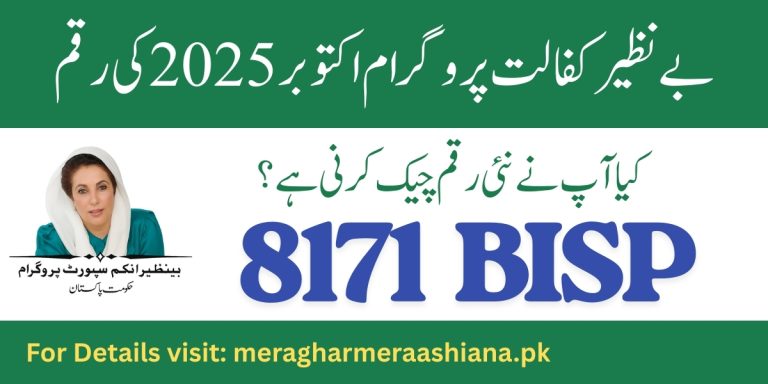 Check BISP October 2025 Payment Online by CNIC
