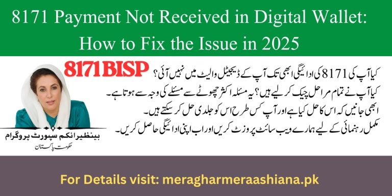 Payment Not Received in Digital Wallet
