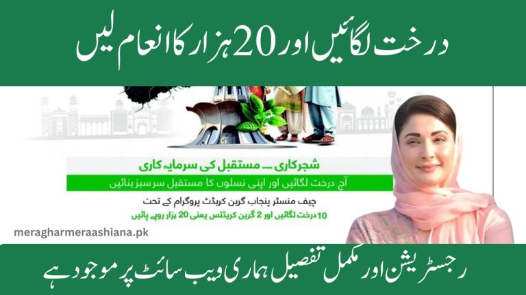 greencredit.punjab.gov.pk Punjab Green Credit Program 20000