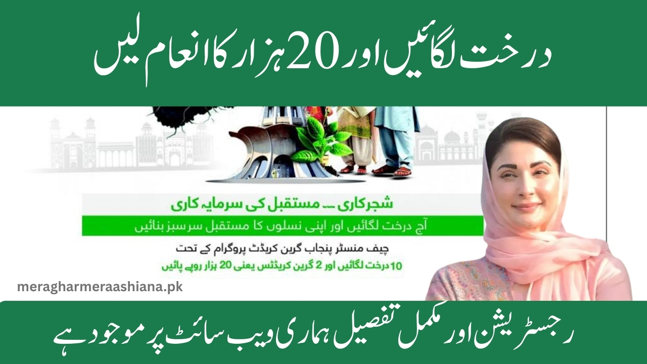 greencredit.punjab.gov.pk Punjab Green Credit Program 20000